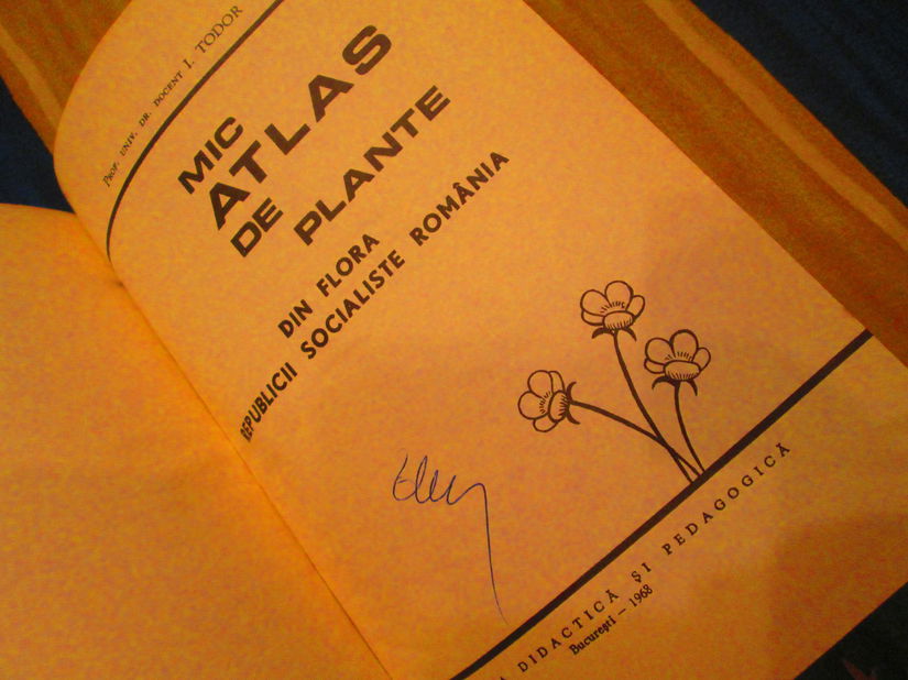 1968 Mic atlas de plante din flora RSR