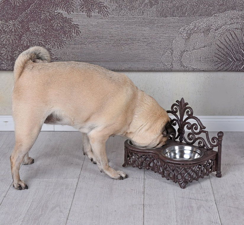 Bol Shabby chic pentru caini
