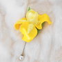 Pin: Iris