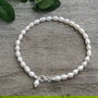 Batara perle white freshwater