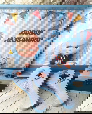 Set/tava  pentru mot - tema baby boss