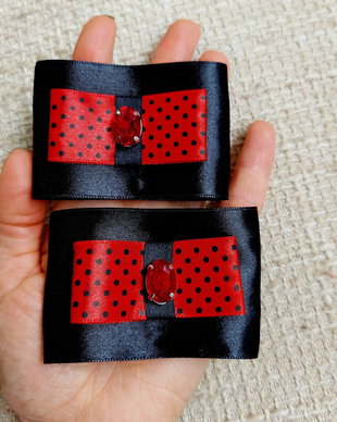 Accesorii incaltaminte