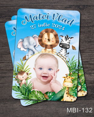Marturii botez ieftine - Magneti frigider pentru baieti cu tematica Safari
