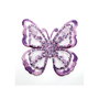 Fluture aripi duble degrade