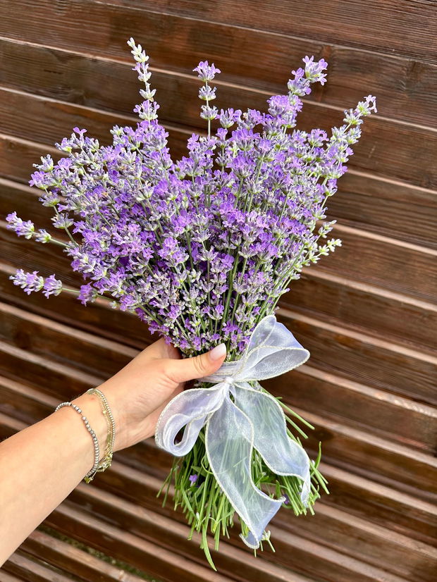 Buchet proaspat lavanda