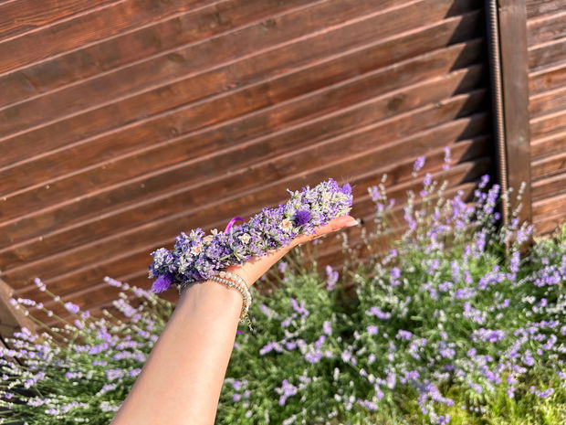 Coronita lavanda