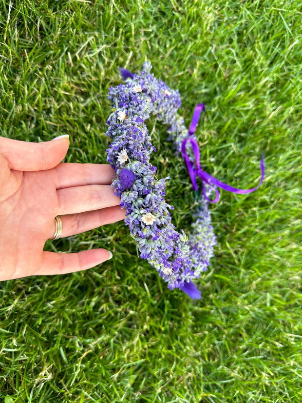 Coronita lavanda