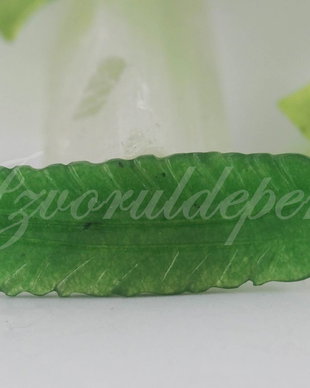 Pandantiv jad 49-50x14-15mm