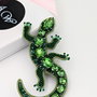 Rezervat Broșa - Salamandra Lola