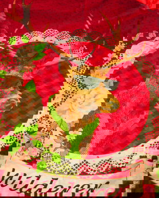 husa plapuma/perna pat simpatica