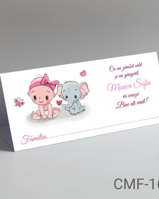 Plicuri de bani ieftine pentru botez fete cu tematica Elefant