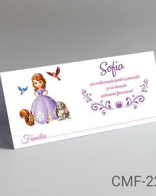Plicuri bani personalizate pentru botez fetite cu Printesa Sofia