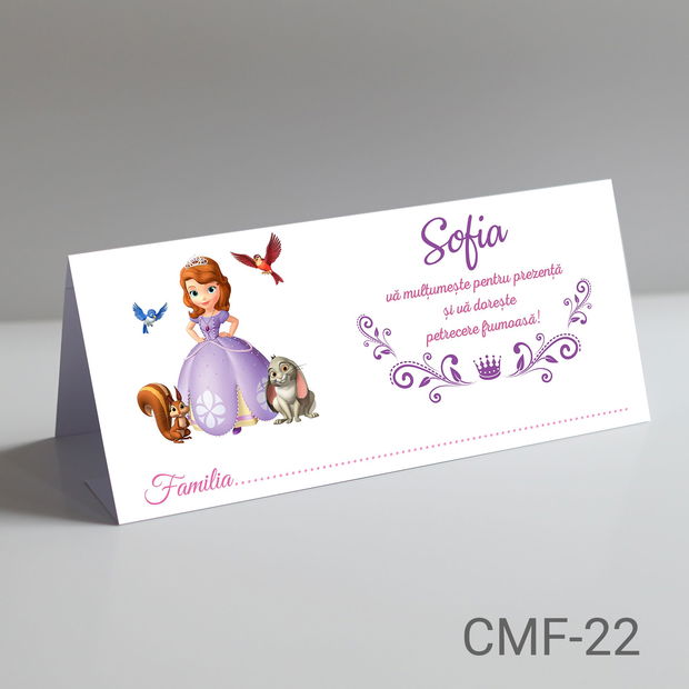 Plicuri bani personalizate pentru botez fetite cu Printesa Sofia