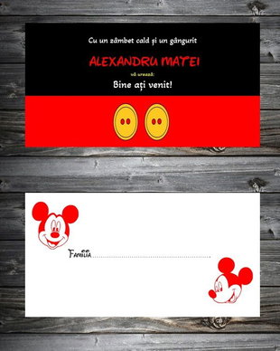Plic de bani botez-Mickey Mouse