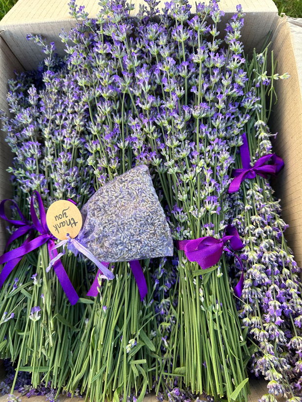 Buchetele cu lavanda