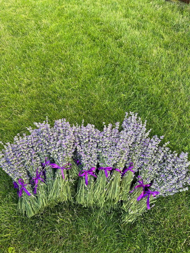 Buchetele cu lavanda