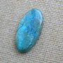 Caboson chrysocolla (C14)