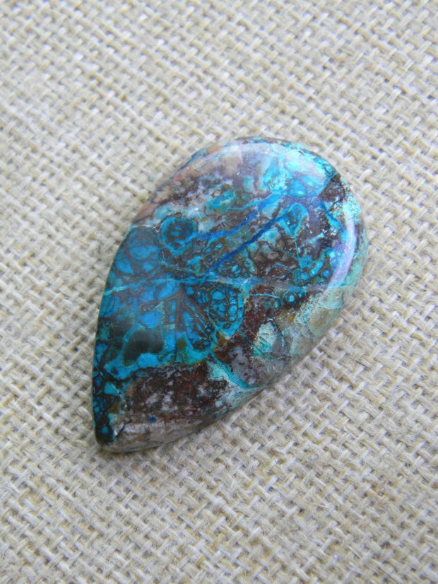 Caboson chrysocolla (C14)