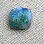 Caboson chrysocolla (C74)
