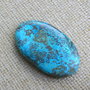 Caboson chrysocolla (F44-5)