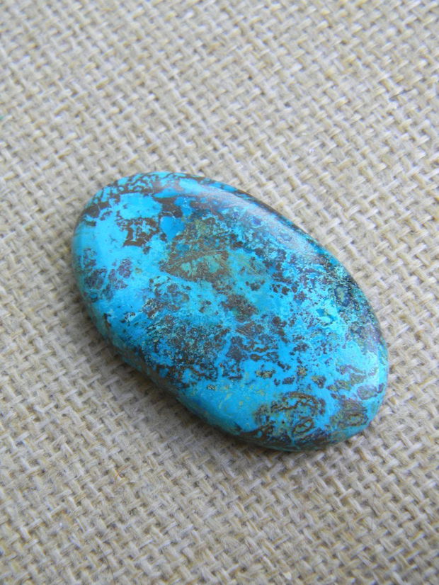 Caboson chrysocolla (F44-5)