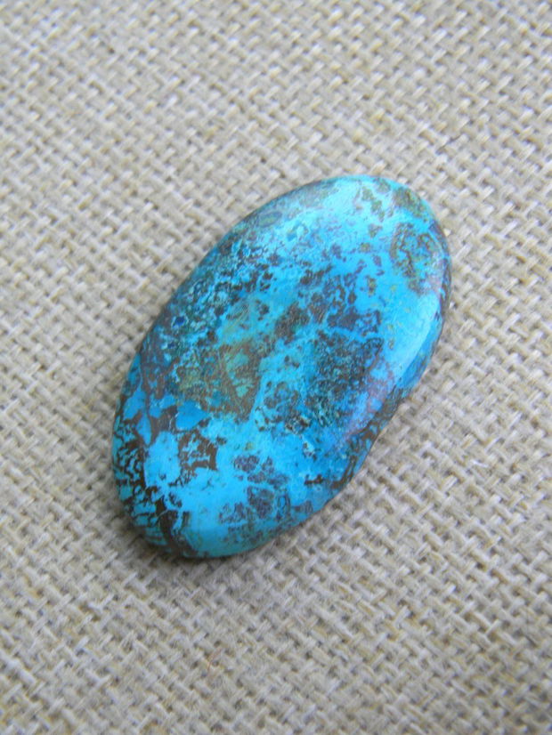 Caboson chrysocolla (F44-5)