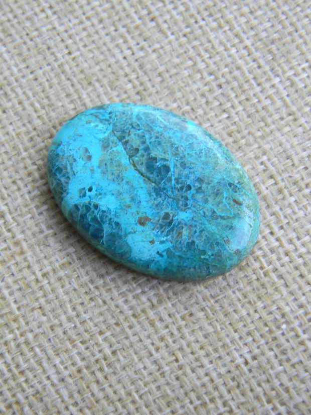 Caboson chrysocolla (F44-5)