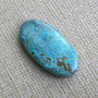 Caboson chrysocolla (F44-5)