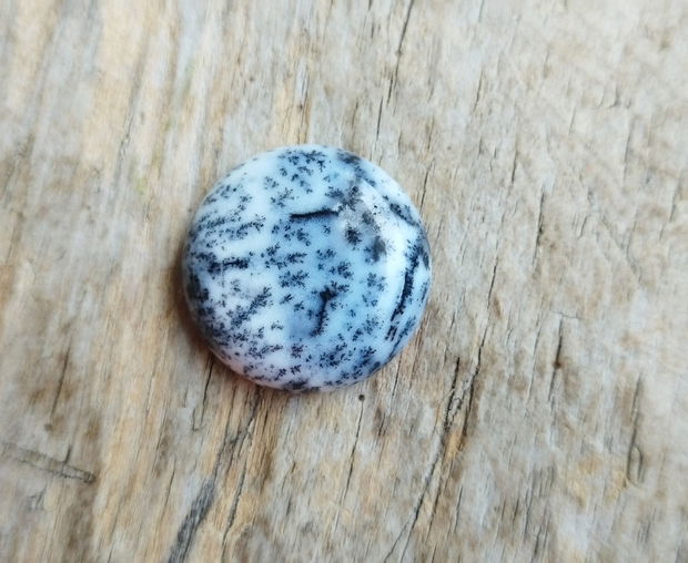 Cabochon opal dendritic, 23x7 mm