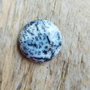 Cabochon opal dendritic, 23x7 mm