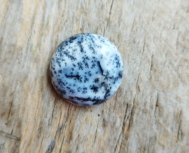 Cabochon opal dendritic, 23x7 mm