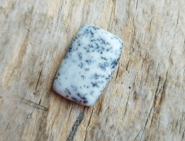 Cabochon opal dendritic, 24x16 mm