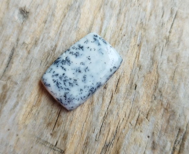 Cabochon opal dendritic, 24x16 mm