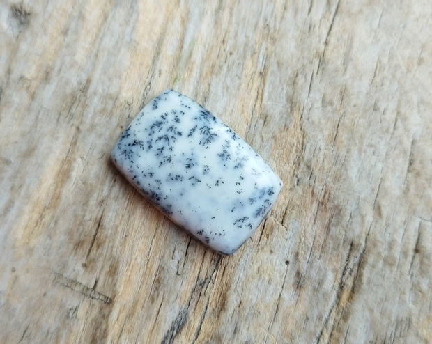 Cabochon opal dendritic, 24x16 mm