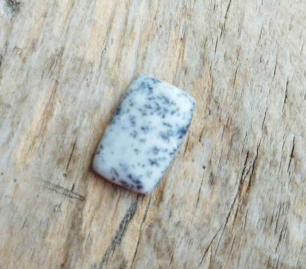 Cabochon opal dendritic, 24x16 mm