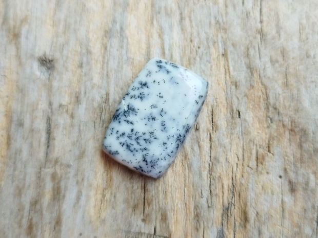 Cabochon opal dendritic, 24x16 mm