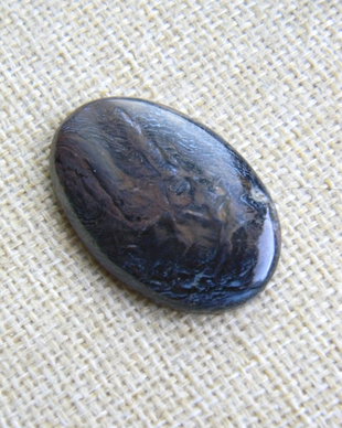 Caboson pietersit (C15)