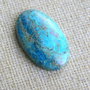 Caboson chrysocolla (C15)