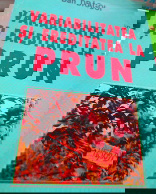 variabilitatea si ereditatea la prun