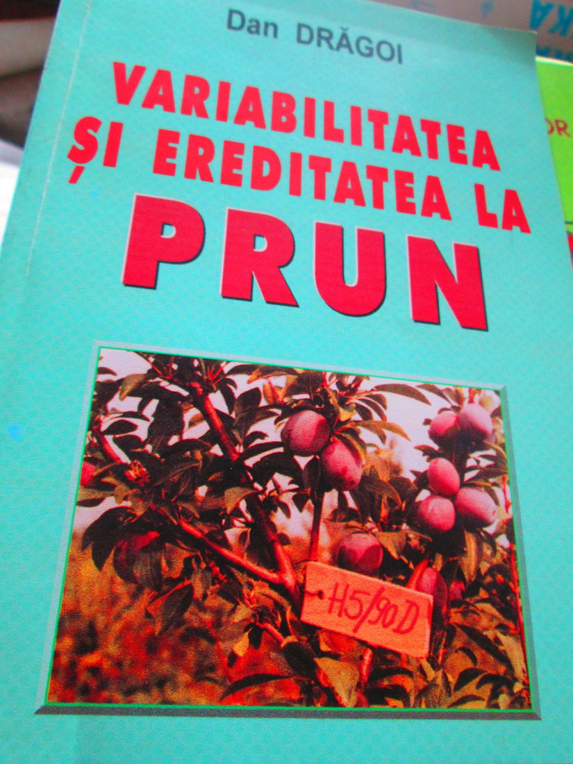 variabilitatea si ereditatea la prun