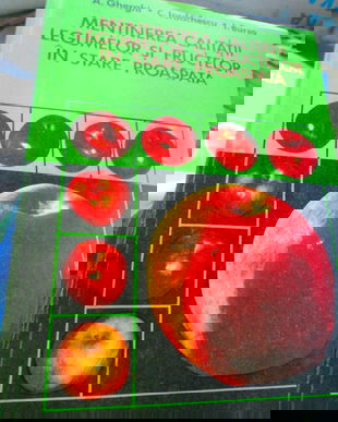 1979 Mentinerea calitatii legumelor si fructelor