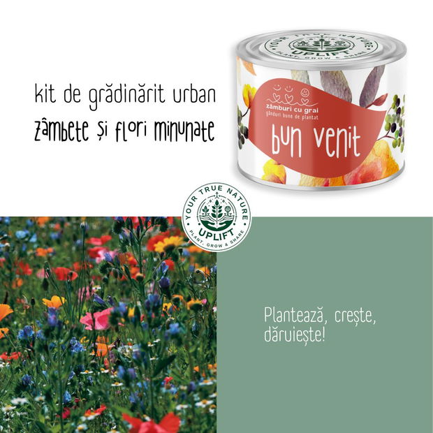 Kit cadou de gradinarit urban, Uplift  Zamburi cu grai, flori si mesaje