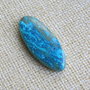 Caboson chrysocolla (F44-5)