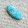 Caboson chrysocolla (F44-5)