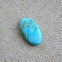 Caboson chrysocolla (C24)