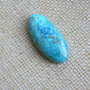 Caboson chrysocolla (C24)