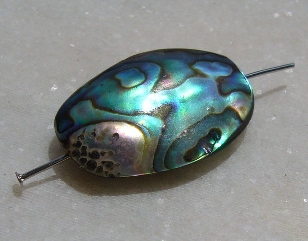 Pandant din scoica paua abalone gaurit pe lungime aprox 29x20x8 mm