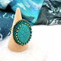 Rezervat Inel - Oaza de Turquoise