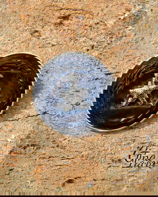 Brosa reciclata din capsule de cafea stea de mare