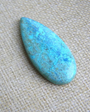 Caboson chrysocolla (F45-1)